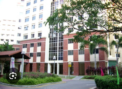 Blk 498A Tampines Street 45 (Tampines), HDB 4 Rooms #468951231